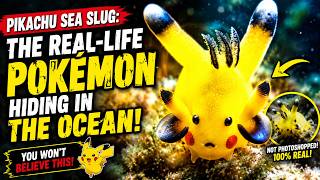 Pikachu Sea Slug | The Real Life Pokémon Hiding in the Ocean