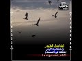 ليتنا مثل الطيور اذا ضاقت بنا الأرض حلقنا في السماء جديد حالات واتس حزينه ليتنا مثل الطيور اذا ضاقت بنا الأرض حلقنا في السماء جديد حالات واتس حزينه