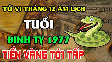 5 Dấu Hiệu Vàng Tuổi Đinh Tỵ 1977 Vét Cạn Lộc Trời, Trúng Lớn Đổi Đời MUA NGAY VÉ SỐ Tháng 12 ÂL