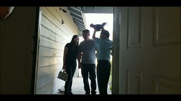 lwm qaib yuav poj niam rau Mong 2021