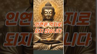 인연은 억지로 되지 않습니다 #부처님말씀 #인연의지혜  #마음챙김 #위로되는말 #숏츠영상 #불교명언 #법정스님 #마음정리 #명언 #마음의소리로쓰는글 #마음챙김 #긍정적마인드