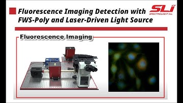 Fluorescence Imaging Detection with FWS-Poly and Laser-Driven Light Source