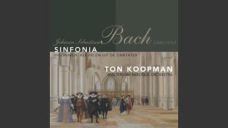 Ich habe meine Zuversicht, BWV 188/1: Sinfonia