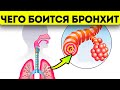 Аптекарь не расскажет! Вот как быстро вылечить бронхит в домашних условиях народными средствами