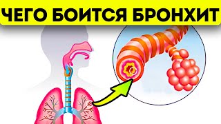 Аптекарь не расскажет! Вот как быстро вылечить бронхит в домашних условиях народными средствами