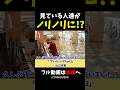 【ストリートピアノ】見ている人達がノリノリに!?《切り抜き》「プレイバックPart2」山口百恵 #ストリートピアノ #スミワタル