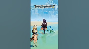 Genshin Impact Enemies Never Fail To Crack Me Up