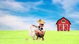 No Room For Mushrooms