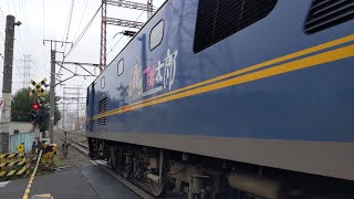 【豪快なジョイント音！】JR貨物 EF210-315号機+コキ24B 吹A135[5073レ] 福岡タ行 小田第三踏切通過！[2023.03.23(木)]