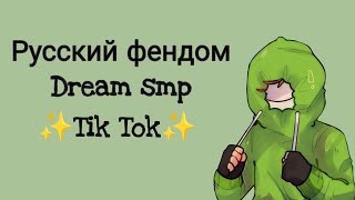 русский фендом дрим смп в тик ток💖