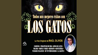 Video voorbeeld van "Los Gatos - Lágrimas de Escarcha"