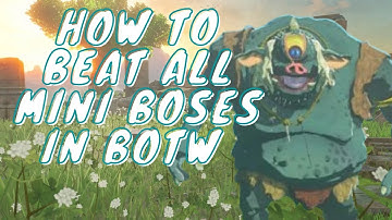 BOTW All Mini-Bosses and How to Defeat them