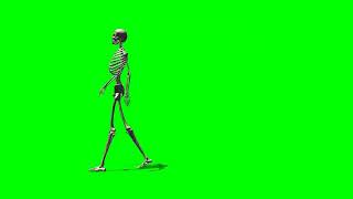Skeleton greenscreen
