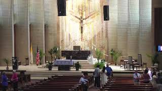 7/11/26 - Fr. Hunter Ostapowicz - Mass of Thanksgiving