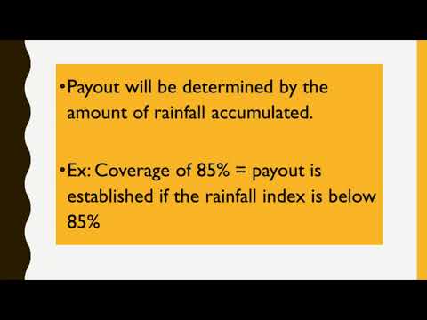 How Much Is Beekeeping Insurance
