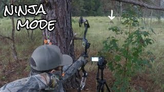 Download Bow Hunt Deer From The Ground Video MP3 Bow Hunt Deer From The Ground