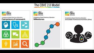 CBVE®: What Is It and Why Should We Do It