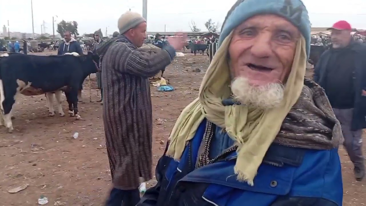 فيديو جديد من رحبة المواشي سوق حد السوالم 