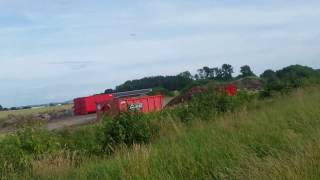 The Ugly Duckling Blunderbird