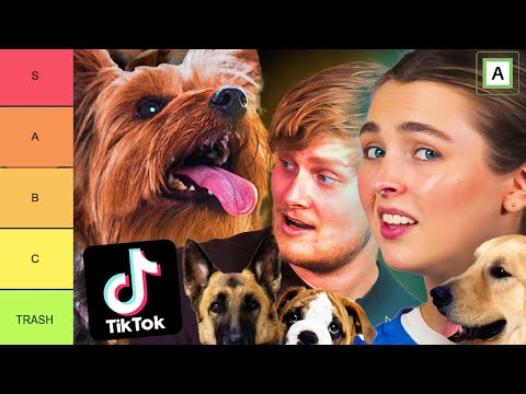 Video: Hvorfor lukker min hund alltid dårlig?