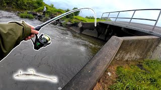 Muddy water hole hoping!!! | Smallmouth | Largemouth | Crappie | Walleye | Rock bass | Drum |