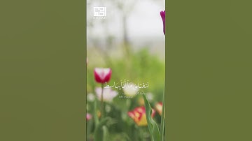 لَئِن بَسَطتَ إِلَيَّ يَدَكَ لِتَقْتُلَنِي …  #سورة_المائدة  #ماهر_المعيقلي الآية 28