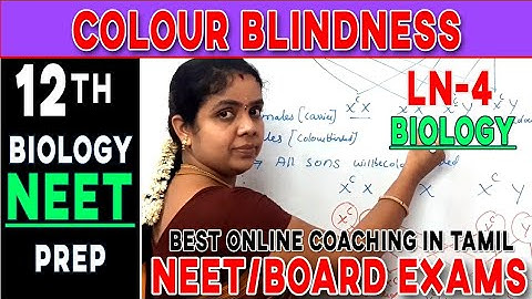 Colour Blindness| Principles of inheritance and variations|CBSE| TNSCERT| Biology simplified