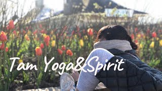 【初投稿】私にとってのYOGAのこと。あと自分のどんな感情も許すということについて。ハエ飛んでます。笑