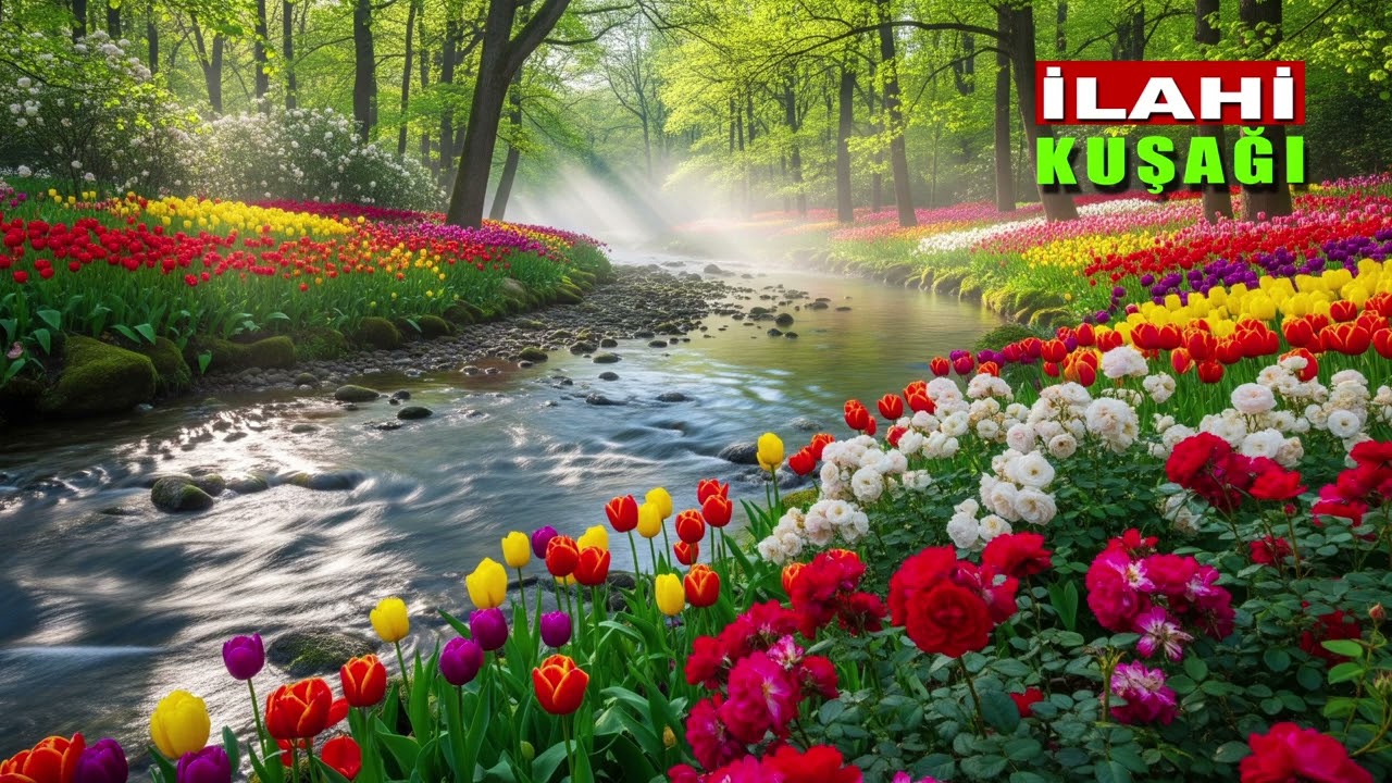 İlahi Kuşağı | AŞIKLAR DİZİ DİZİ | En Güzel İlahiler | Zikirli İlahiler