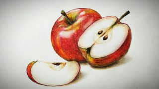 How to draw realistic apple | How to draw Freehand drawing