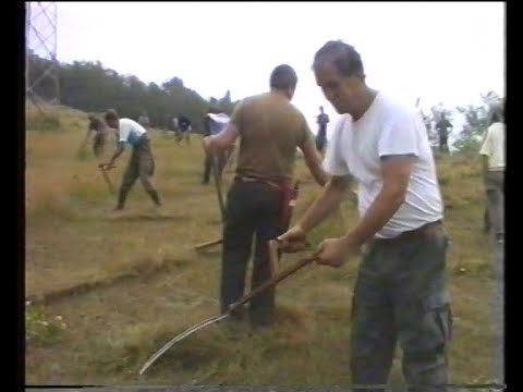 Video: Neovlaštena deponija smeća. Odlaganje industrijskog i kućnog otpada