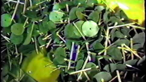 SPECTRUM AUTOMATION COMPANY VALVE STEM FEED SYSTEM