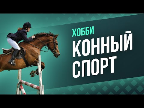 Конный Спорт- Уход за лошадьми- кормление лошадей-