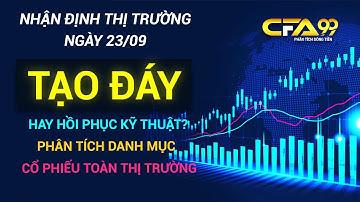 Nhận Định Thị Trường Chứng Khoán 23/9: Vnindex Tạo Đáy Hay Hồi Phục Kỹ Thuật? Phân Tích Cổ Phiếu