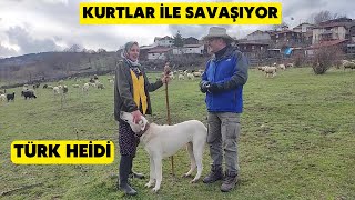 KURTLARLA SAVAŞAN ÇOBAN KIZI (Türk Heidi Kızımız Nurgül Akdoğan İle Sohbet)