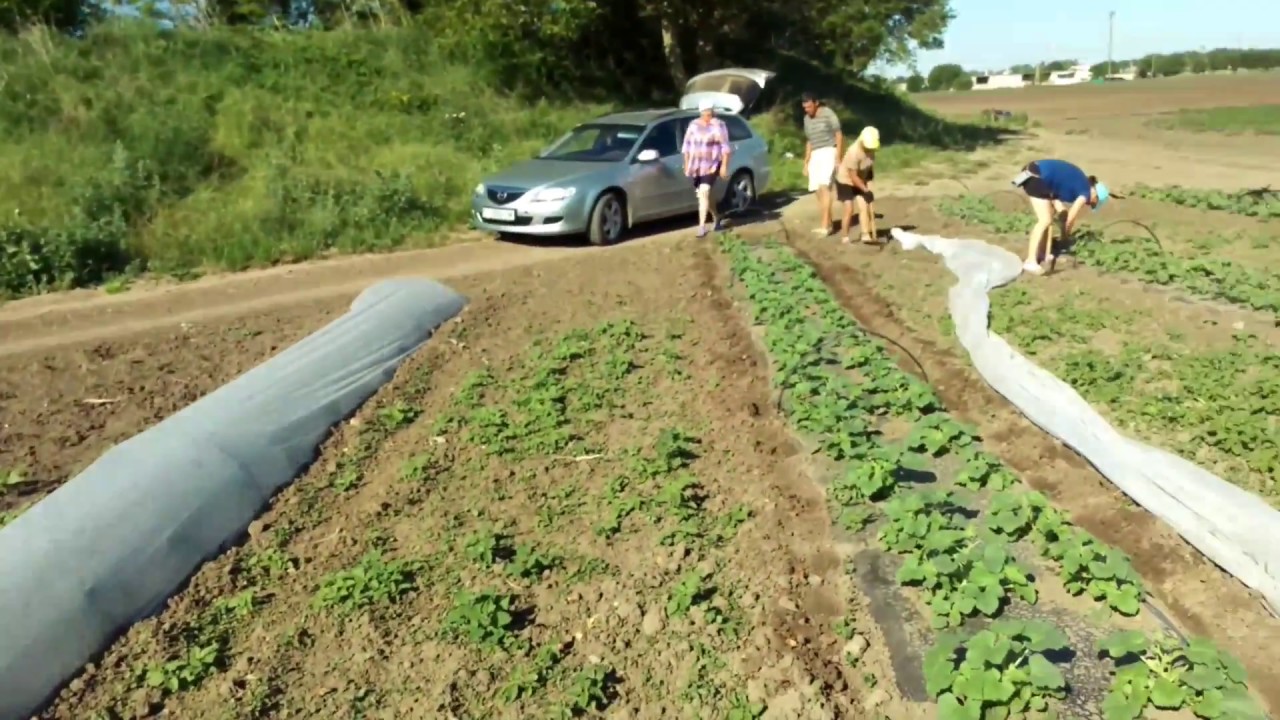 Снятие тоннеля приора 1