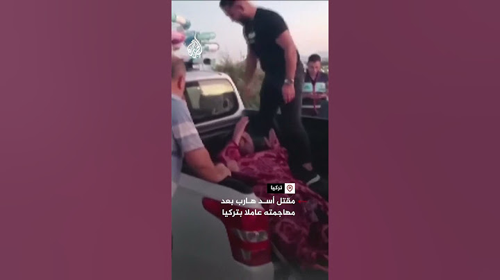 مقتل أسد هارب بعد مهاجمته عاملا بتركيا