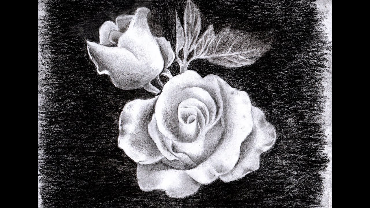 Cute Draw Rose Valentines Day Sketch Charcoal for Kids
