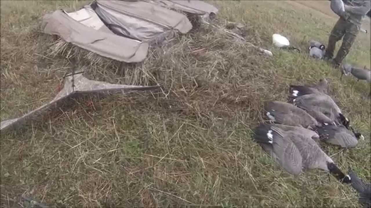 Michigan Goose Hunting Limit From The Blind TV Episode 23 YouTube