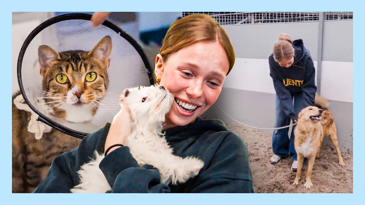 RHODE LOOPT STAGE IN HET DIERENASIEL