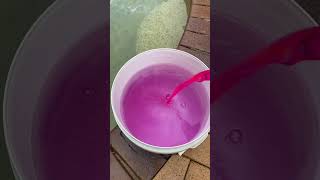 This Pool Got hit hard - Dirty Pool Cleanup #poolcleaning #pool #cleaning screenshot 2