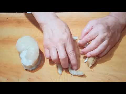 Cách sơ chế sò mai của đầu bếp chuyên nghiệp