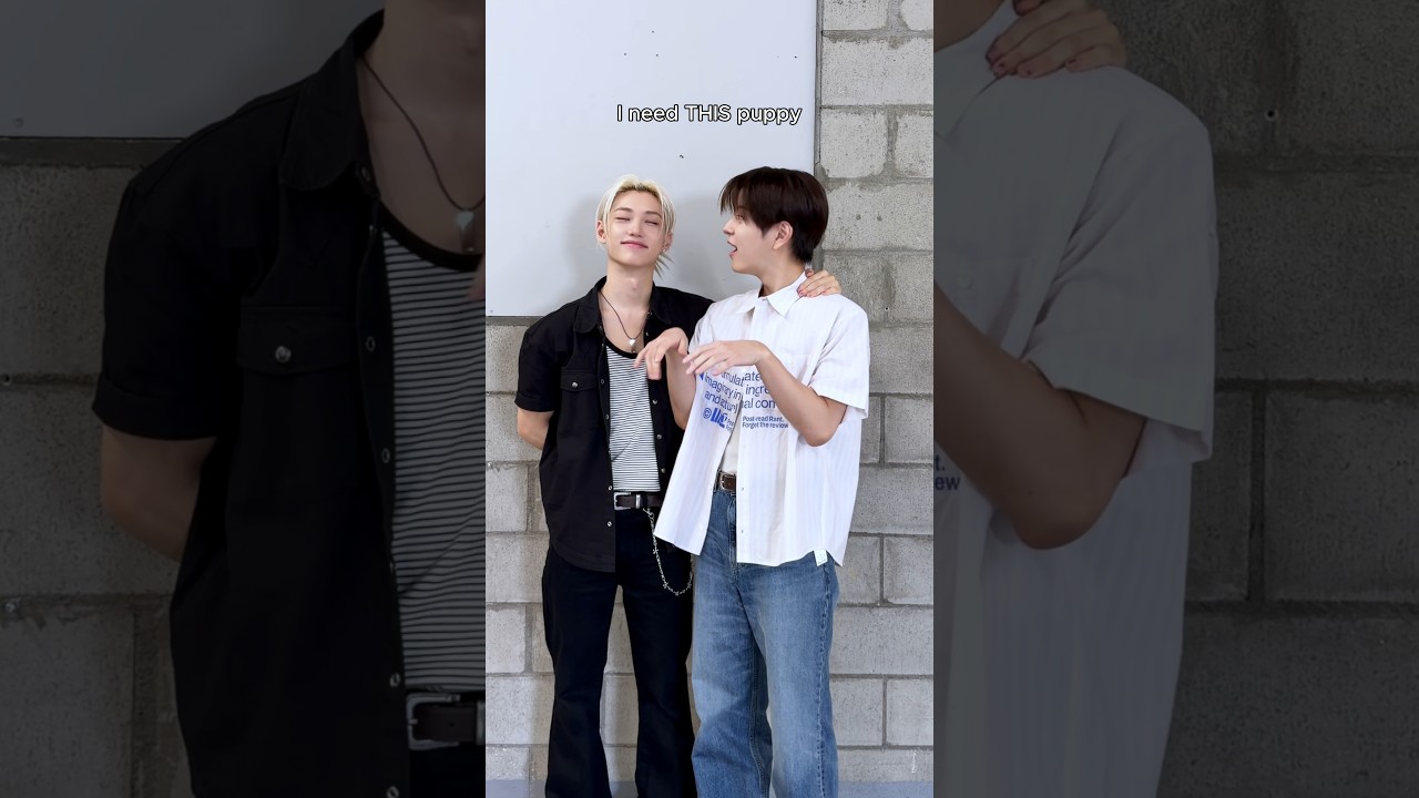 ๐ฅ needs THIS ๐ถ #StrayKids #์คํธ๋ ์ดํค์ฆ #ํ๋ฆญ์ค #Felix #์น๋ฏผ #Seungmin #THIS_AND_THAT #YouMakeStrayKidsStay