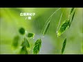 ♫ 【癒し音楽】Rain💧雨 🎹 ピアノを中心に、癒し系・ニューエイジ系の作品