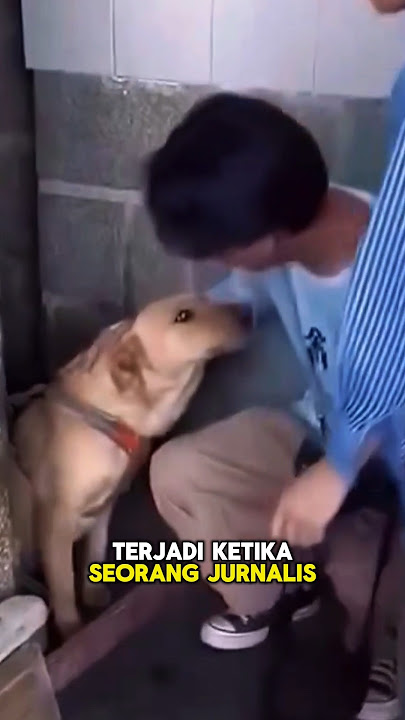 Anjing ini minta di adopsi dari tempat penampungannya !!