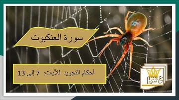سورة العنكبوت : شرح للأحكام  من 7 الى 13
