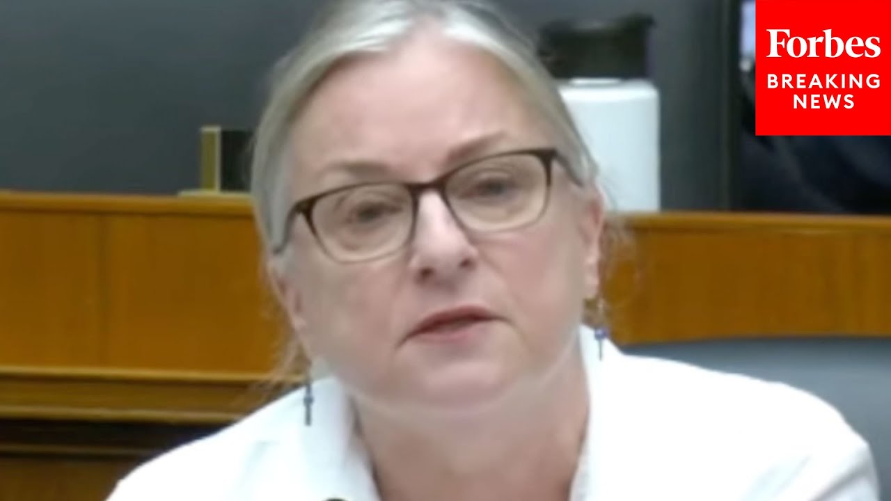 Susan Wild Expresses Concern About Antisemitism In Anti-Israel Protests ...