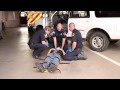 Rapid Extrication