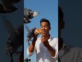 Pizza falls from pegions mouth #birds