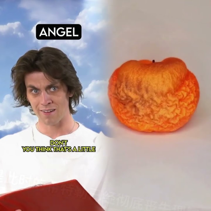 God Makes Chihuahuas